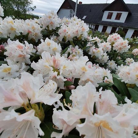 Lysbjerg Bed and Breakfast Fåborg Buitenkant foto